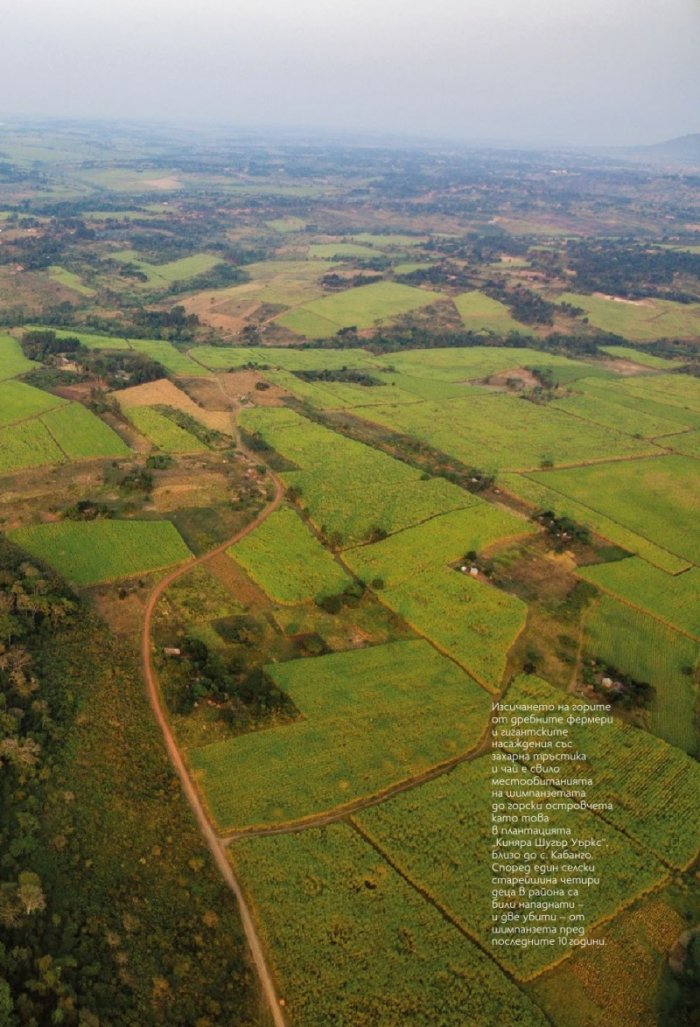 National Geographic България 11/2020