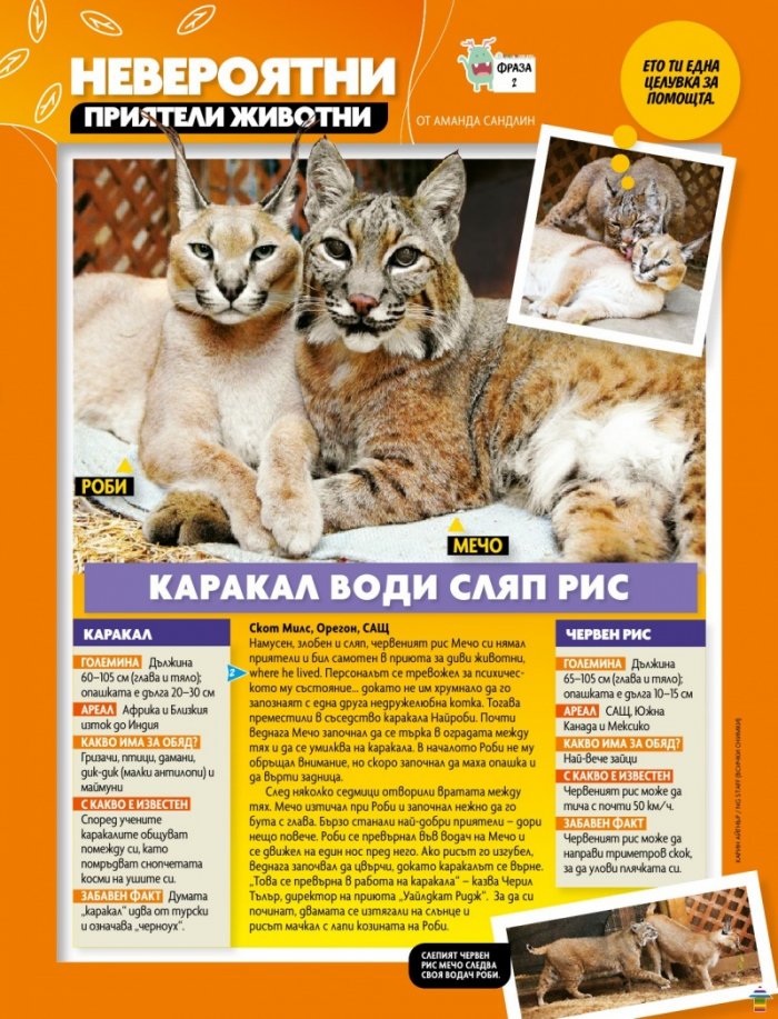National Geographic KIDS България 11/2020