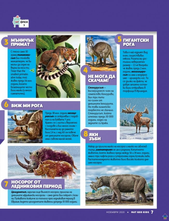 National Geographic KIDS България 11/2020