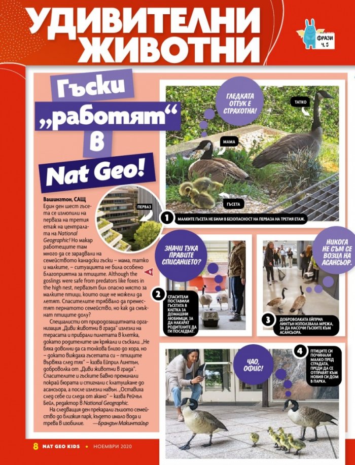 National Geographic KIDS България 11/2020