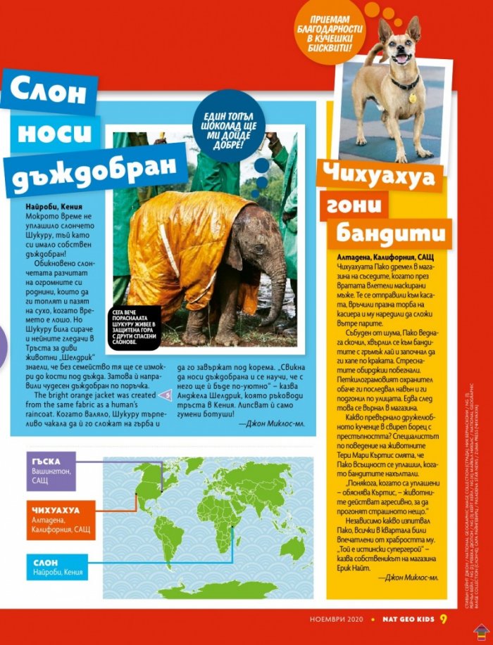 National Geographic KIDS България 11/2020
