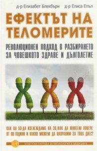 Ефектът на теломерите