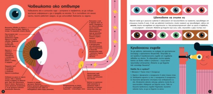 Светлината. Как виждаме?