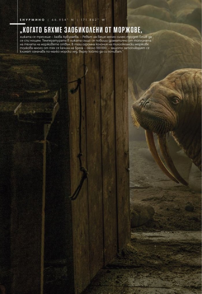 National Geographic България 12/2020