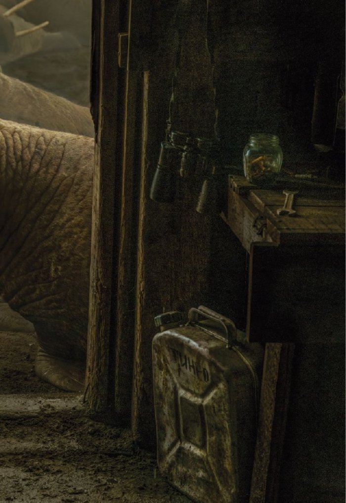 National Geographic България 12/2020