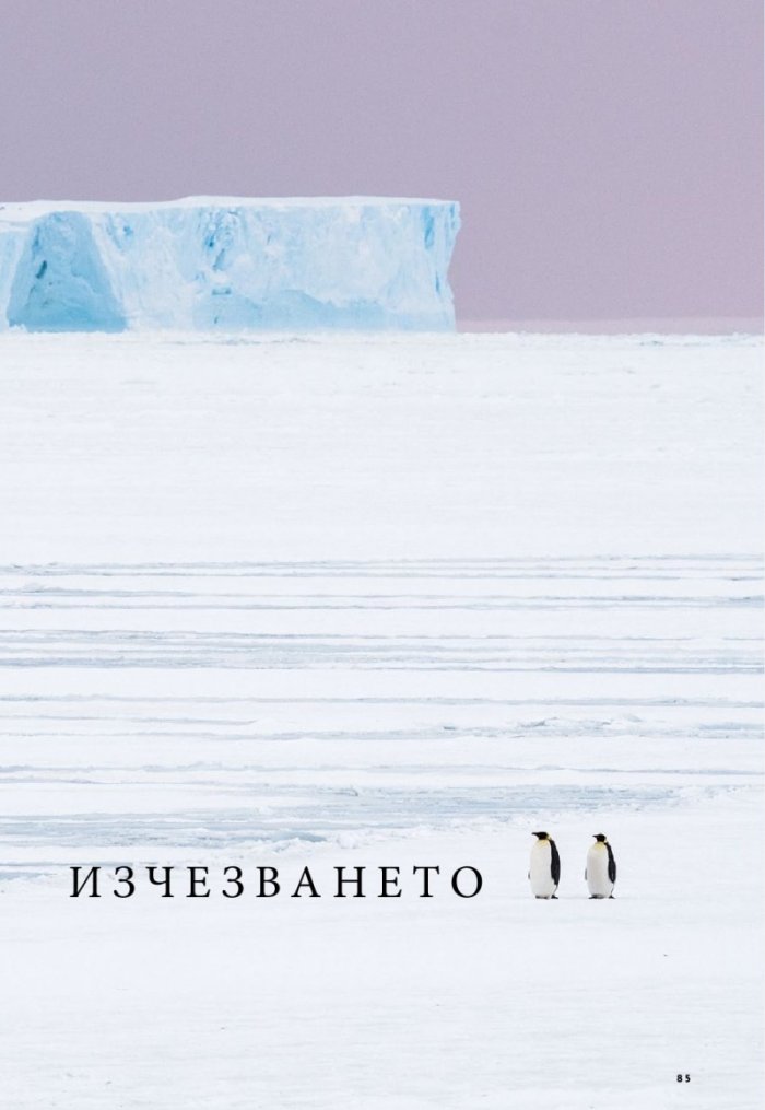 National Geographic България 12/2020