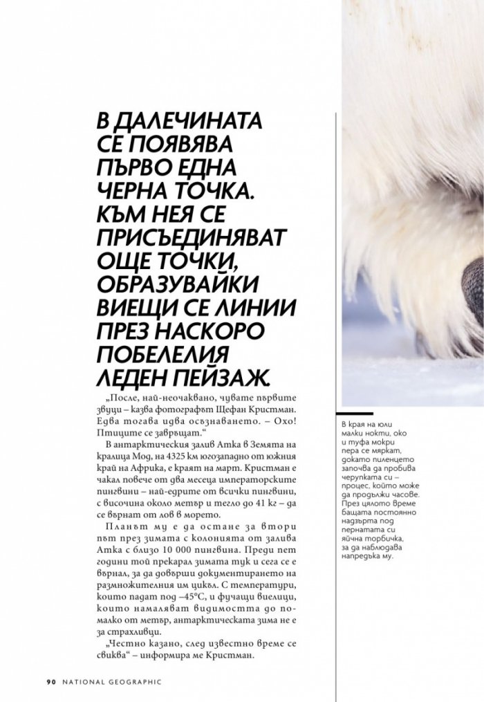 National Geographic България 12/2020