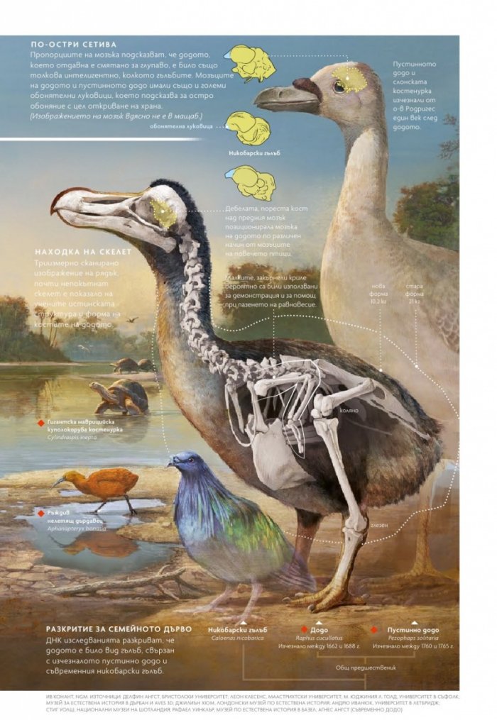 National Geographic България 1/2021