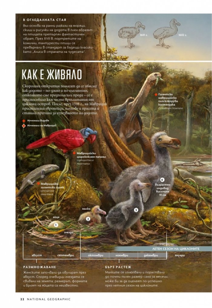 National Geographic България 1/2021
