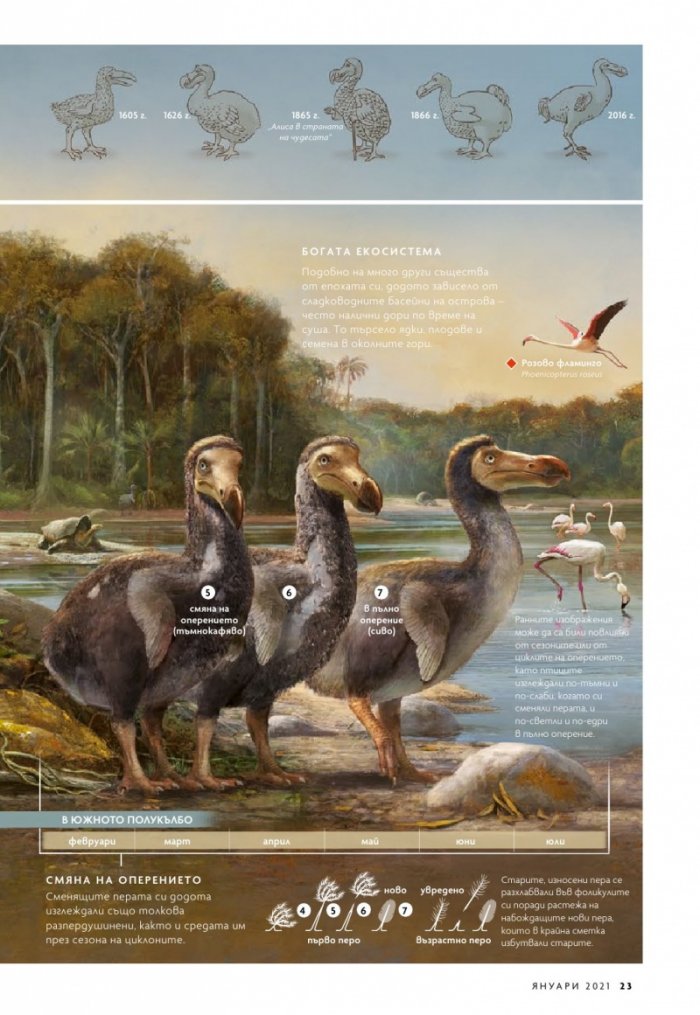 National Geographic България 1/2021