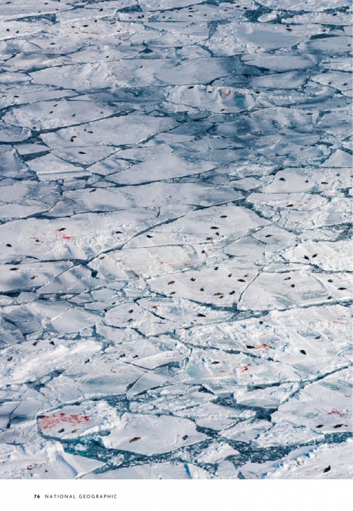 National Geographic България 1/2021