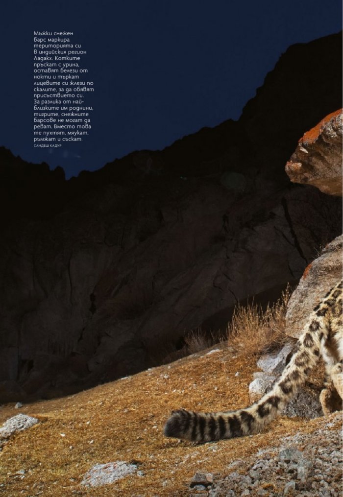 National Geographic България 1/2021
