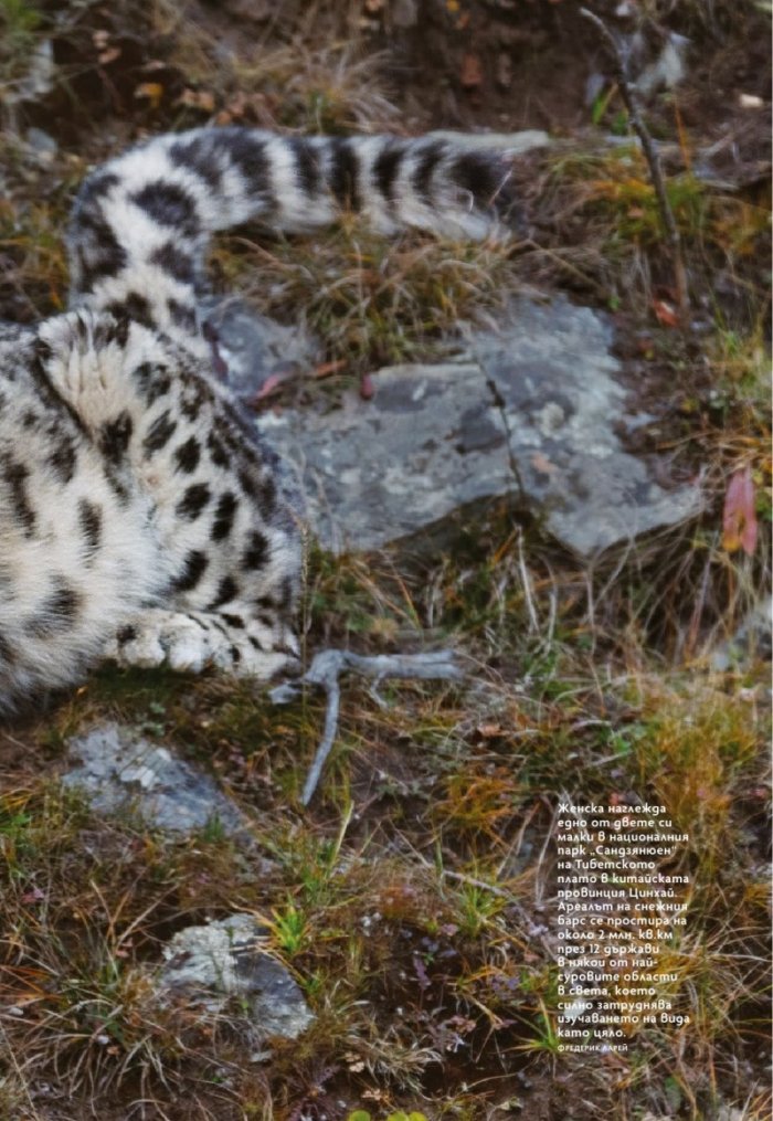 National Geographic България 1/2021