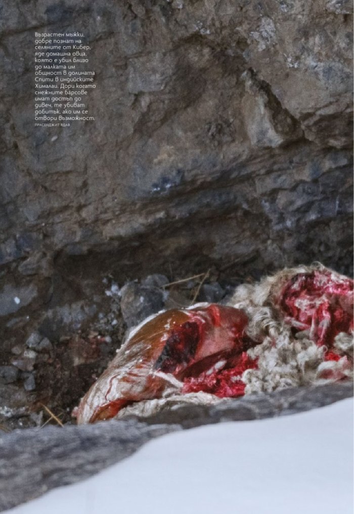 National Geographic България 1/2021