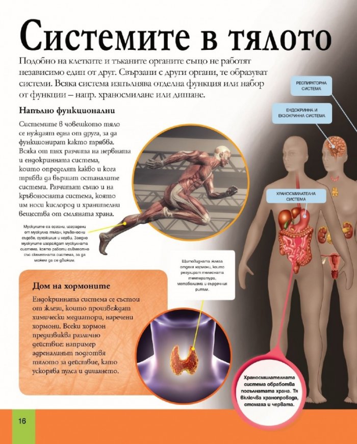 Енциклопедия на човешкото тяло
