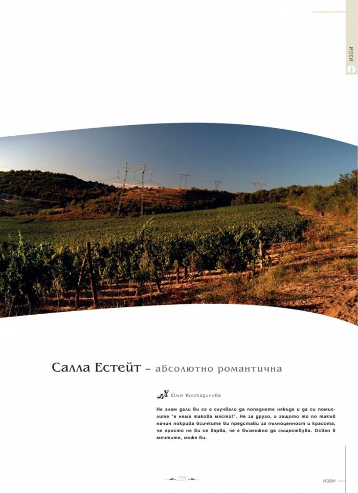 DiVino; Бр.8/XII 2012 – I 2013