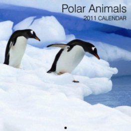 Calendar 2011: Polar Animals