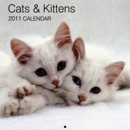 Calendar 2011: Cats & Kittens