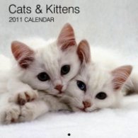 Calendar 2011: Cats & Kittens