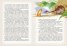 Внимание динозаври: Мезозой на четвъртия етаж