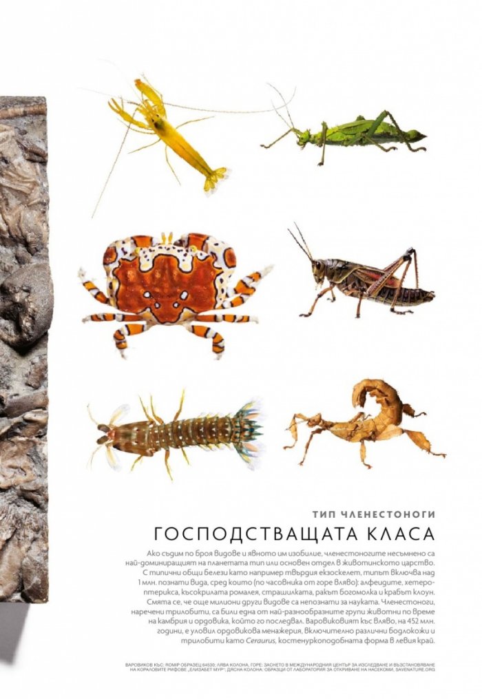National Geographic България 03/2018