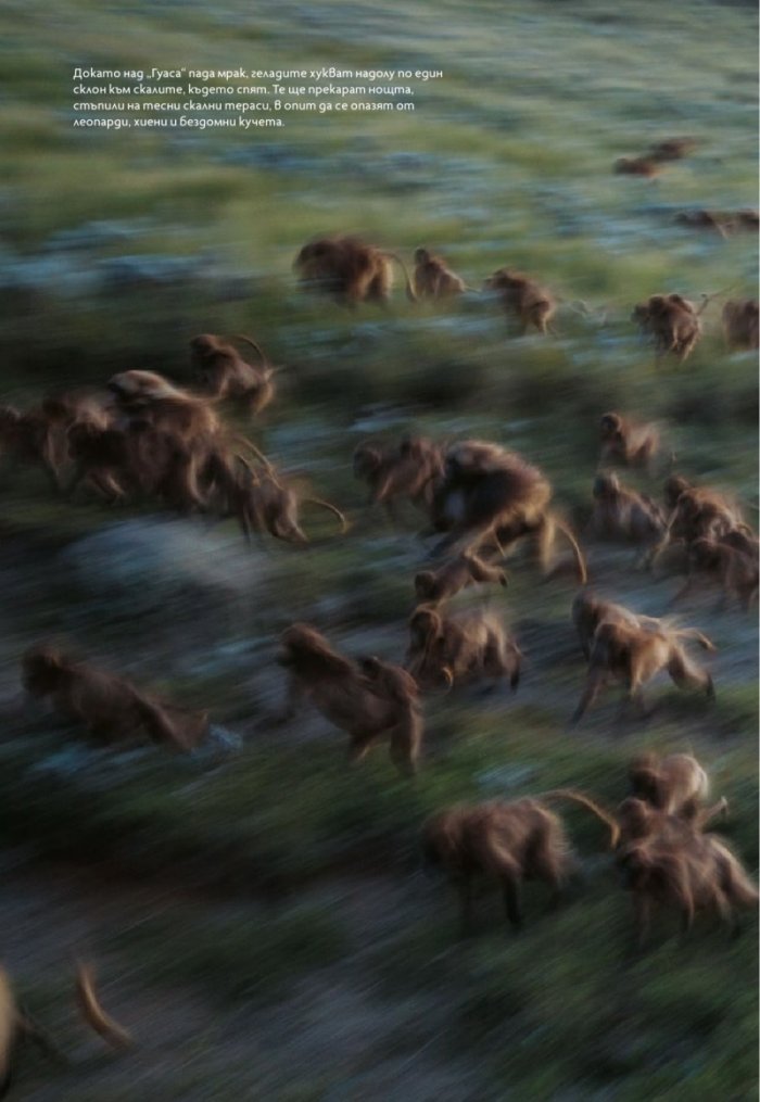 National Geographic България 03/2018