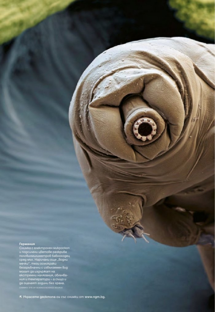 National Geographic 7/2013