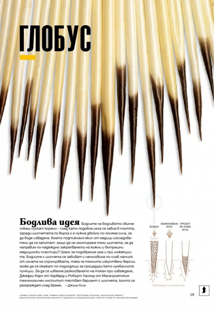 National Geographic 7/2013