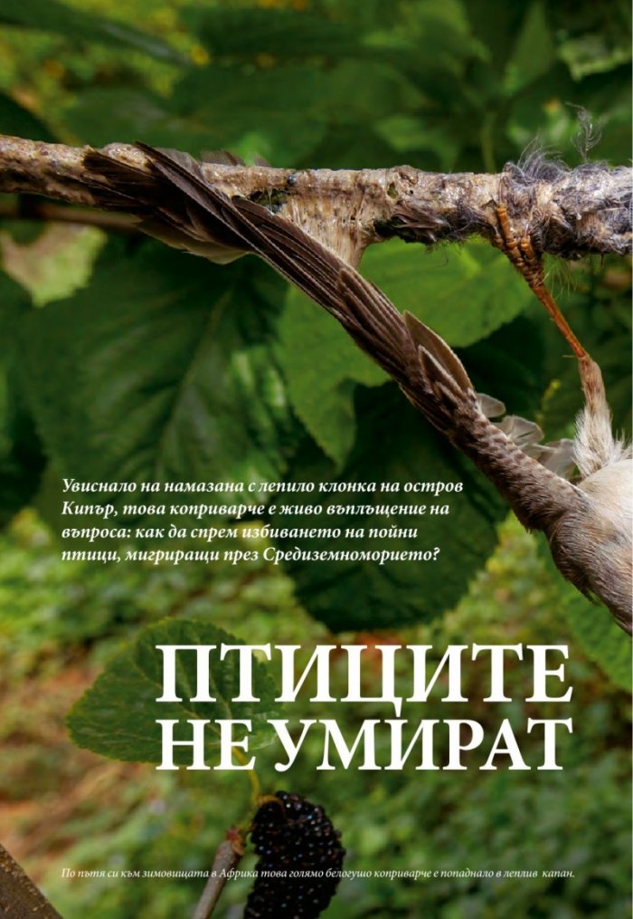 National Geographic 7/2013