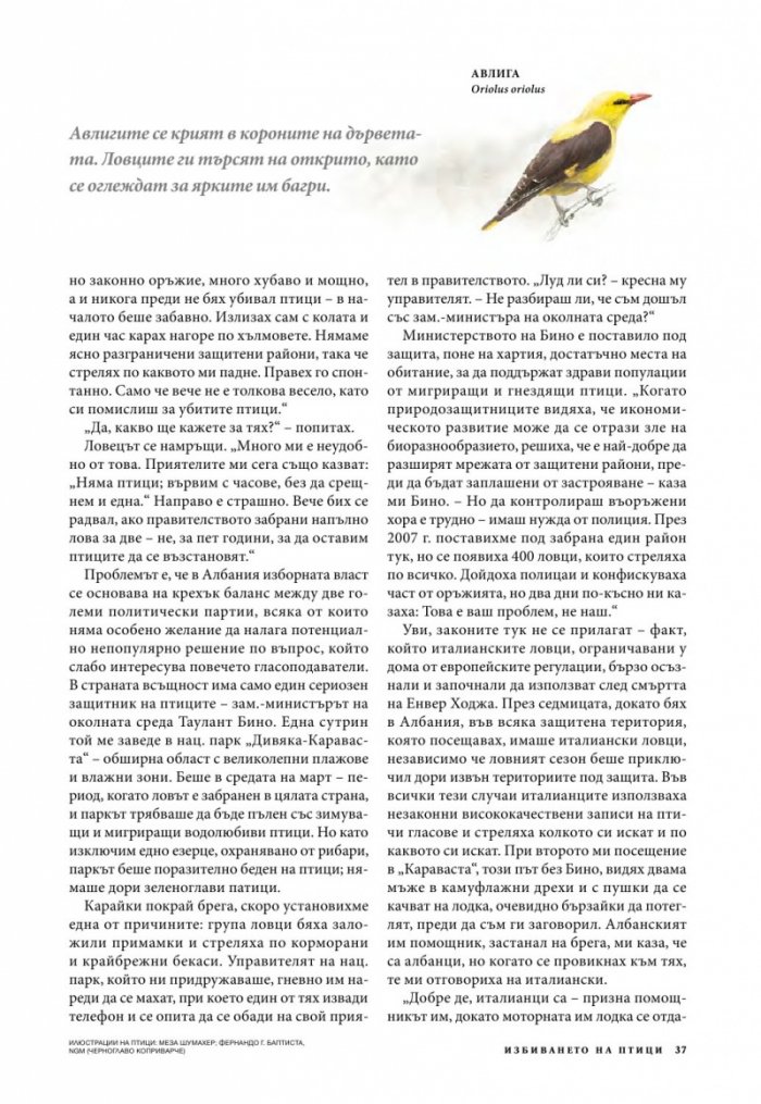 National Geographic 7/2013