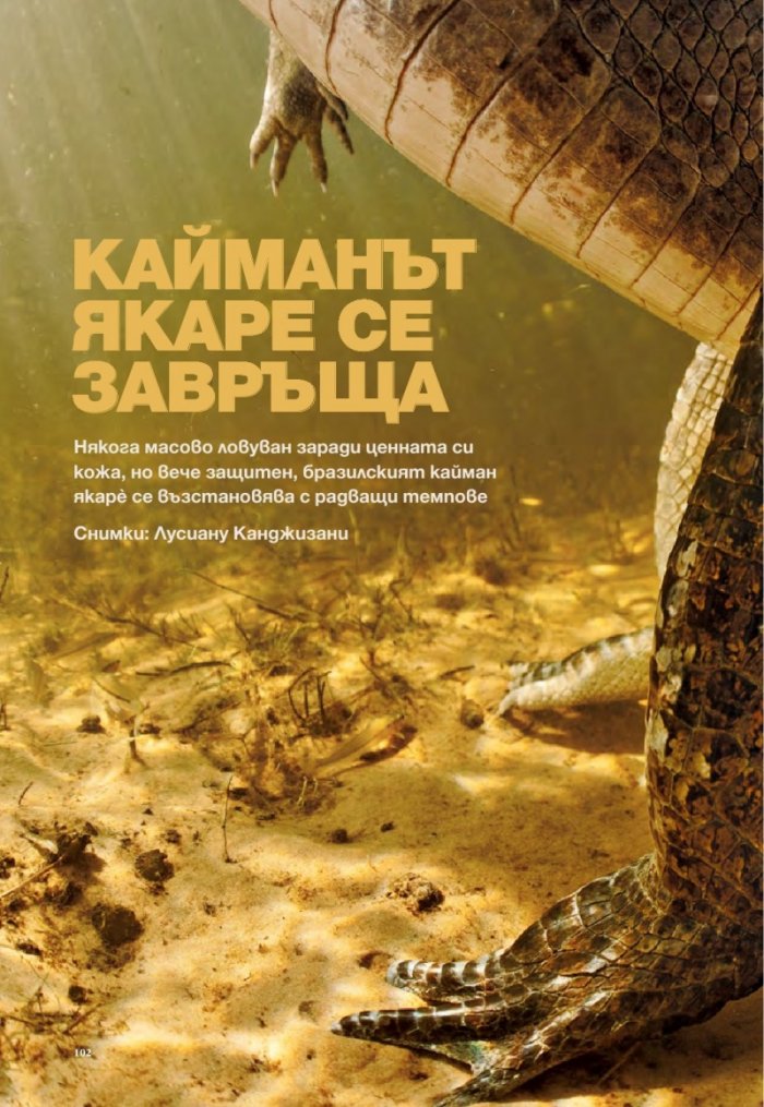 National Geographic 7/2013