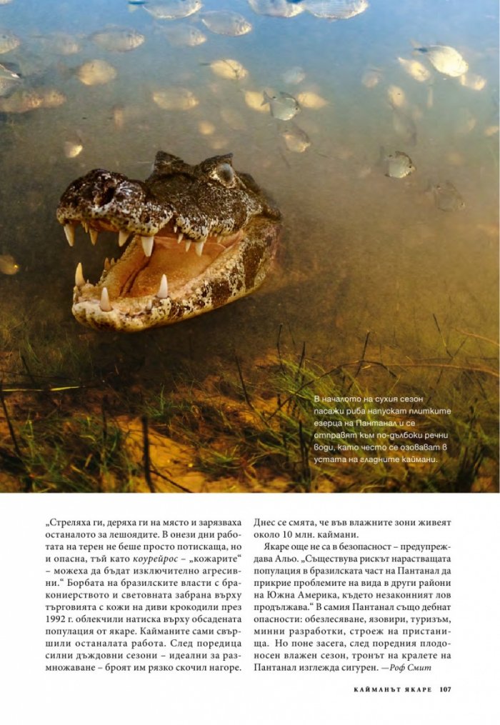 National Geographic 7/2013