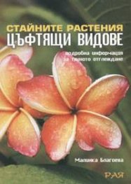 Стайните растения. Цъфтящи видове