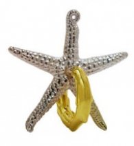 Триизмерен пъзел - Cast Starfish Level 2