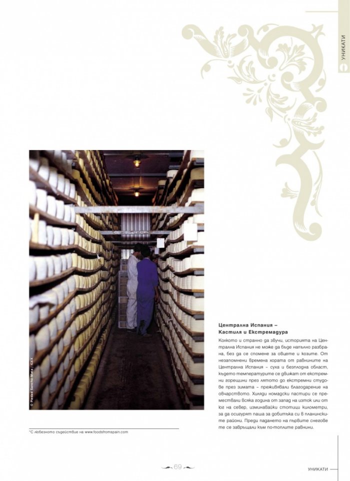 DiVino; Бр.11/VII - IX 2013