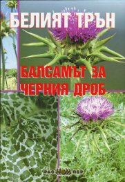 Белият трън - балсамът за черния дроб