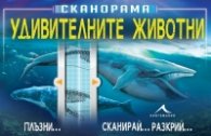 Сканорама: Удивителните животни (Плъзни... Сканирай... Разкрий...)