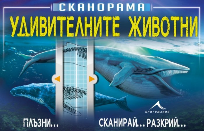 Сканорама: Удивителните животни (Плъзни... Сканирай... Разкрий...)