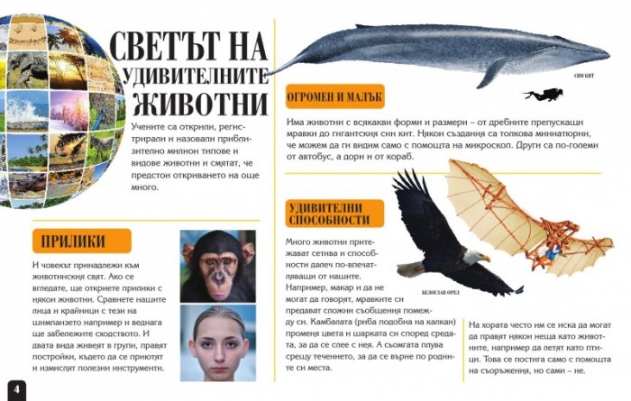 Сканорама: Удивителните животни (Плъзни... Сканирай... Разкрий...)