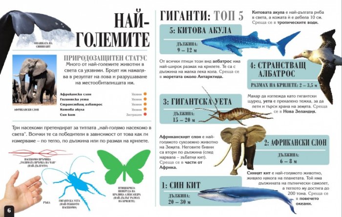 Сканорама: Удивителните животни (Плъзни... Сканирай... Разкрий...)