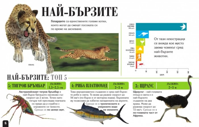 Сканорама: Удивителните животни (Плъзни... Сканирай... Разкрий...)