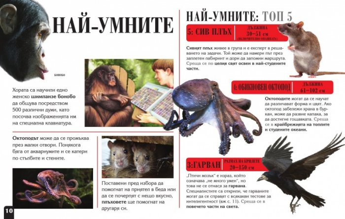 Сканорама: Удивителните животни (Плъзни... Сканирай... Разкрий...)