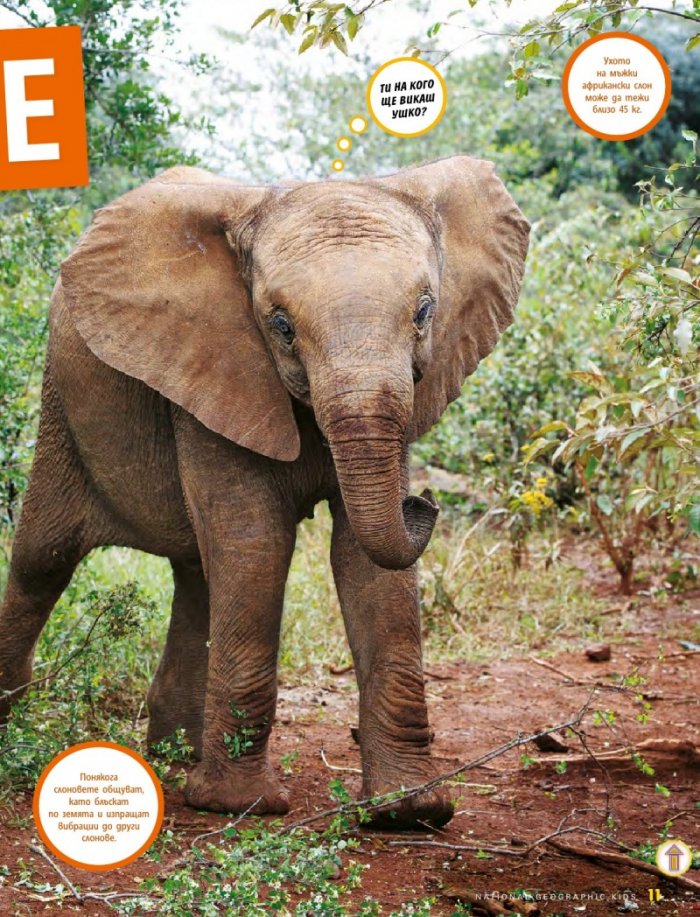 National Geographic KIDS България 4/2015