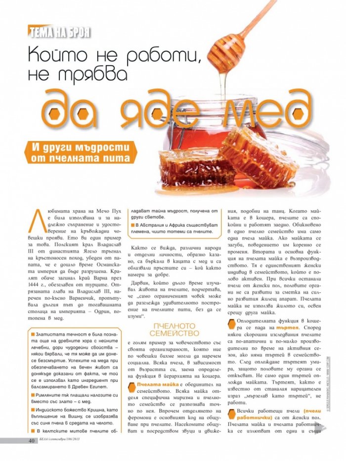 Бела; Бр. 9/186/2013