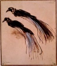 Oiseaux de paradis / Rembrandt