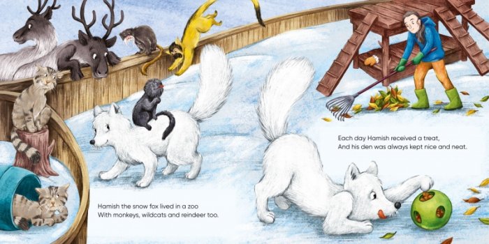 Hamish the snow fox