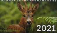 КАЛЕНДАР 2021 ПИРАМИДА 19.5/11.2см.14л. "ЖИВОТНИ"