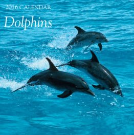 Calendar 2016: Dolphins