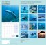 Calendar 2016: Dolphins