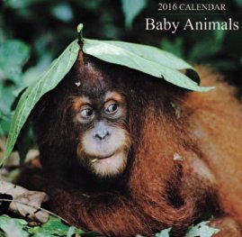Calendar 2016: Baby Animals